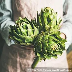 Plant Foods