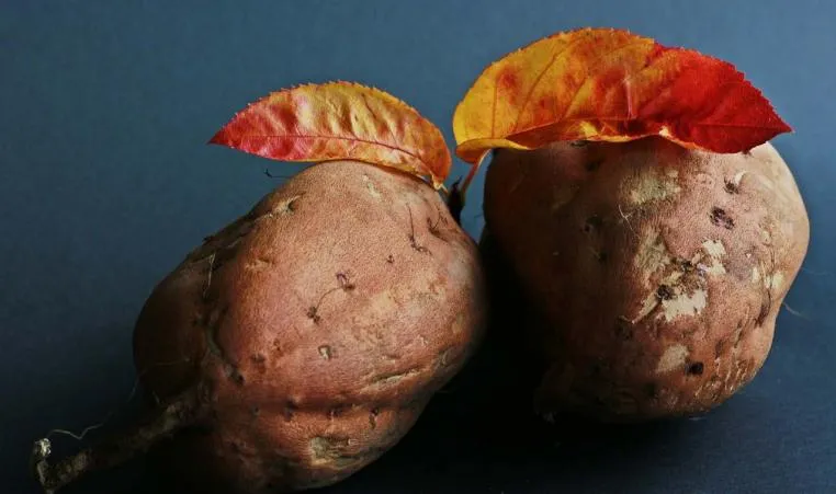 Sweet potato