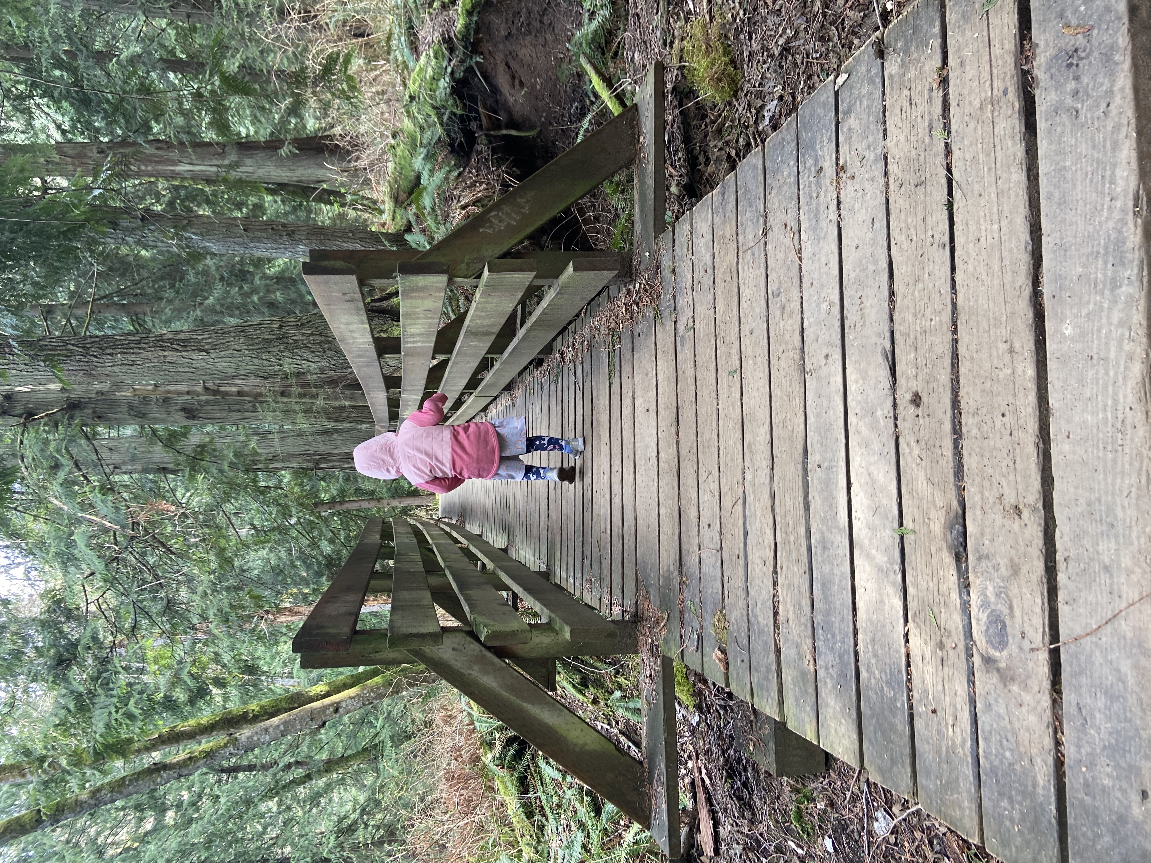 Tiny Trekkers group
